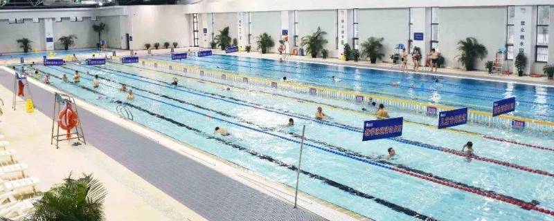 冬天游泳馆的水温一般都是多少度-墨子百科 冬天游泳馆的水温一般都是多少度