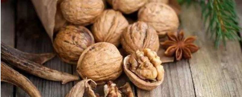 核桃是晾干还是晒干-墨子百科 核桃是晾干还是晒干