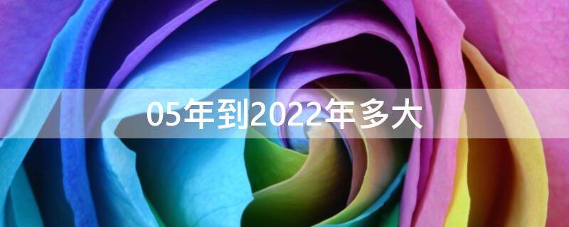 05年到2022年多大