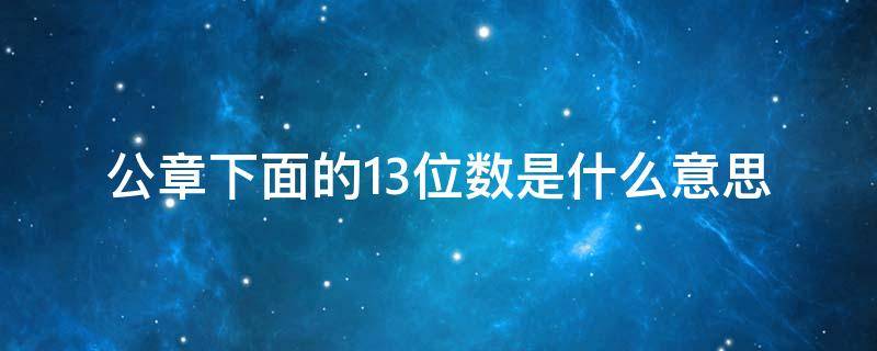 公章下面的13位数是什么意思?