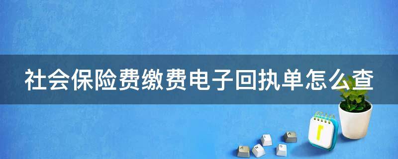 社会保险费缴费电子回执单怎么查