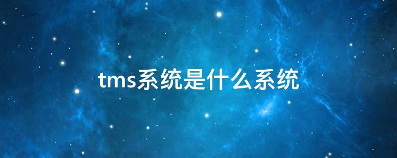 tms系统是什么系统