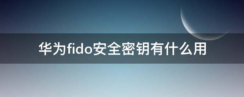 华为fido安全密钥有什么用