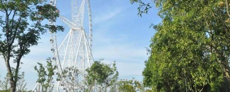 阜阳游乐场有哪些-墨子百科 阜阳游乐场有哪些