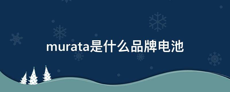 murata是什么品牌电池