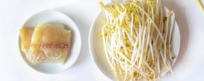 绿豆芽可以长多高-墨子百科 绿豆芽可以长多高