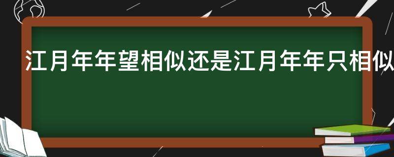 江月年年望相似还是江月年年只相似