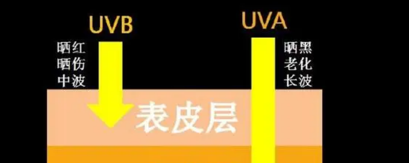 uva指的是什么