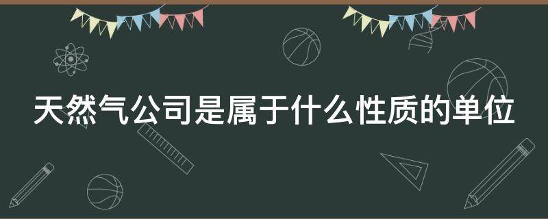 天然气公司是属于什么性质的单位