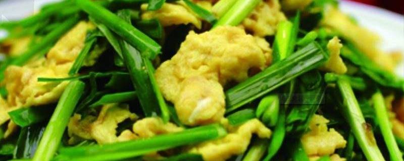 韭菜可以炒哪些东西-墨子百科 韭菜可以炒哪些东西