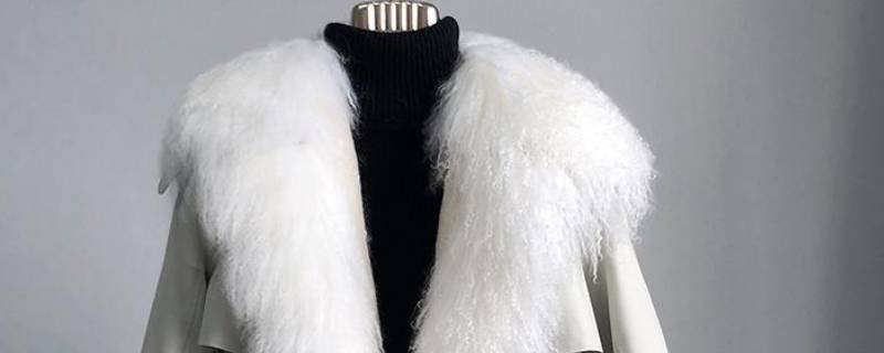 滩羊毛领怎么清洗-墨子百科 滩羊毛领怎么清洗