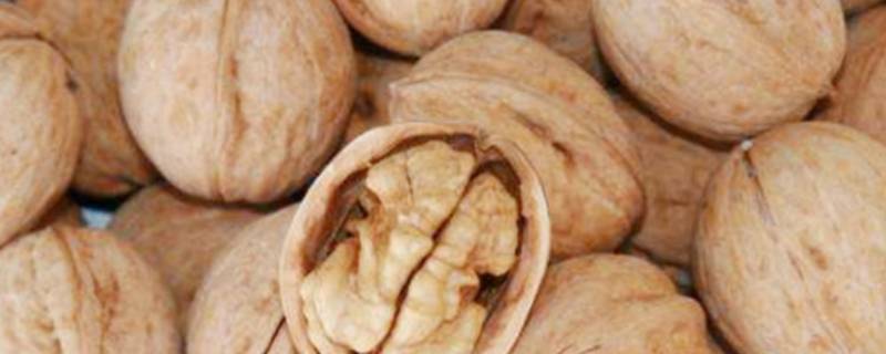 如何判断核桃是否变质-墨子百科 如何判断核桃是否变质