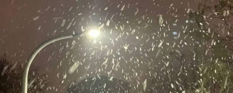 雨夹雪是不是看不到雪