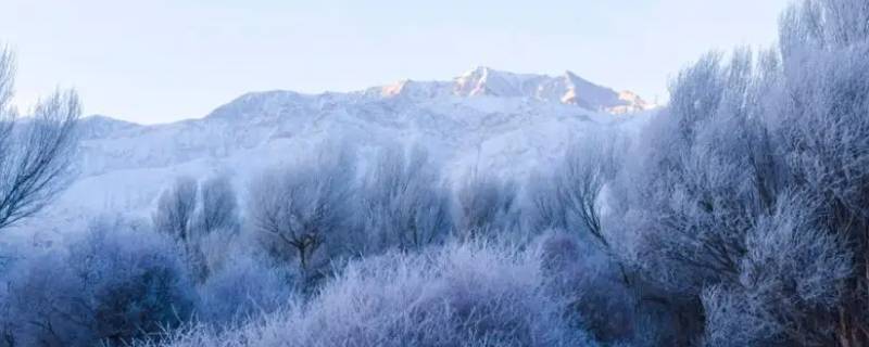 雪前冷还是雪后冷