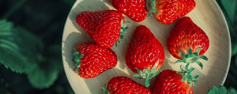 草莓存放需要放冰箱吗