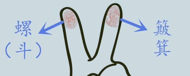 手指斗和簸箕如何区分-墨子百科 手指斗和簸箕如何区分