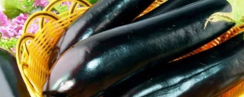 茄子黑心能吃吗-墨子百科 茄子黑心能吃吗