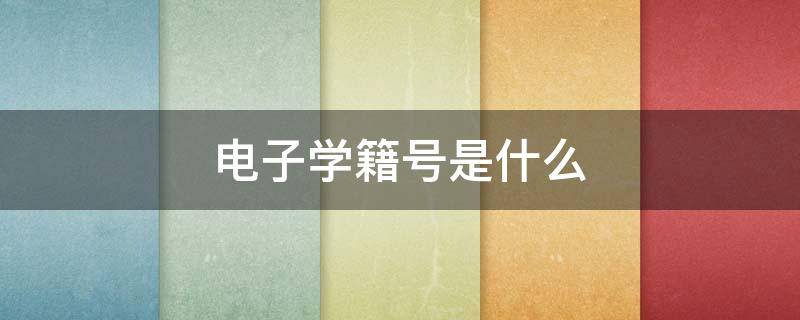 电子学籍号是什么-墨子百科 电子学籍号是什么