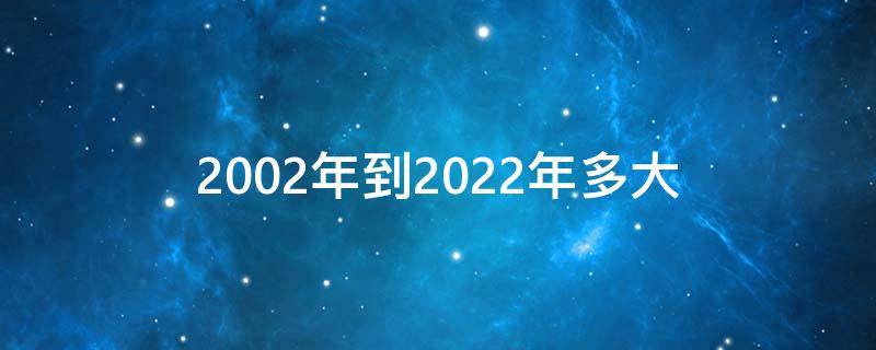 2002年到2022年多大