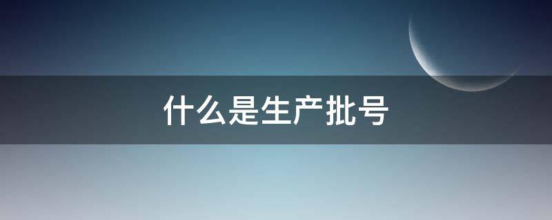 什么是生产批号