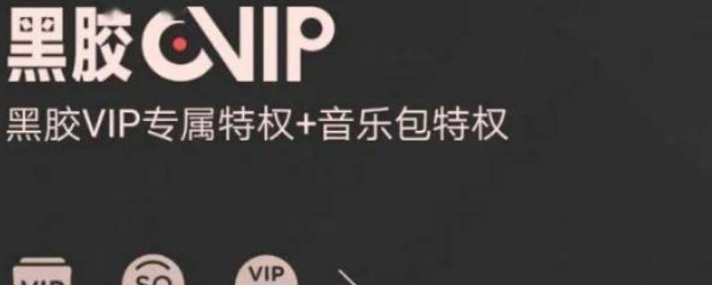 黑胶vip是什么意思