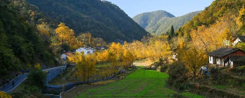 钱冲村是哪个省市