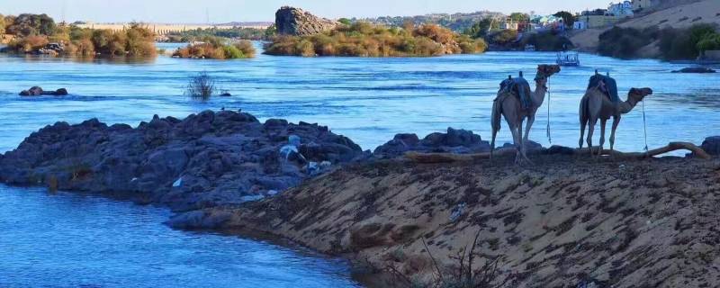 尼罗河发源地-墨子百科 尼罗河发源地