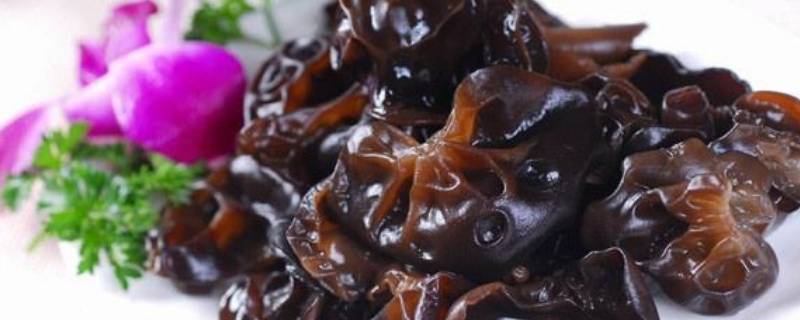 木耳的功效-墨子百科 木耳的功效