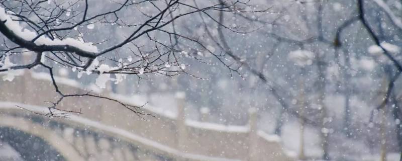 洁白无瑕的雪象征着什么