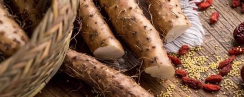 腐烂变质的山药什么样-墨子百科 腐烂变质的山药什么样