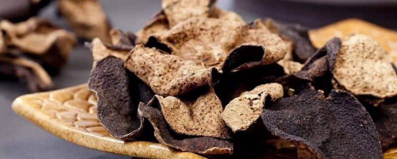 陈皮可以和桑葚一起泡吗-墨子百科 陈皮可以和桑葚一起泡吗
