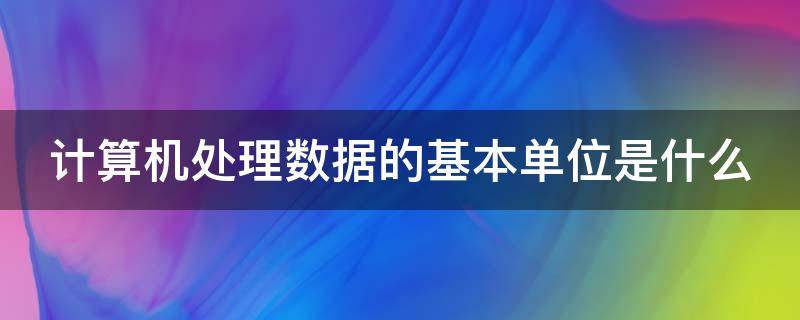 计算机处理数据的基本单位是什么