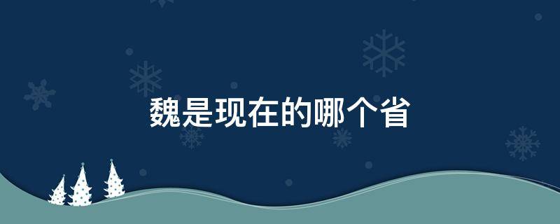 魏是现在的哪个省