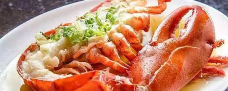 波士顿龙虾能活多久-墨子百科 波士顿龙虾能活多久