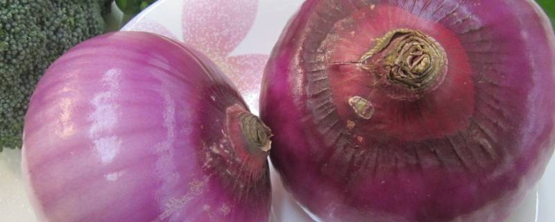 洋葱的功效作用-墨子百科 洋葱的功效作用