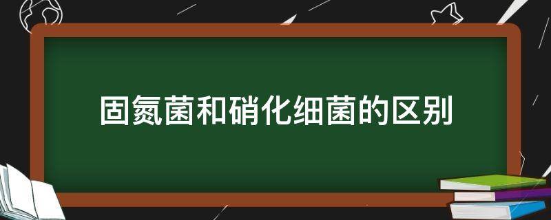 固氮菌和硝化细菌的区别