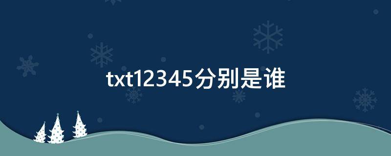 txt12345分别是谁