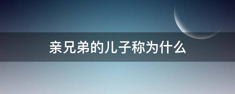 亲兄弟的儿子称为什么