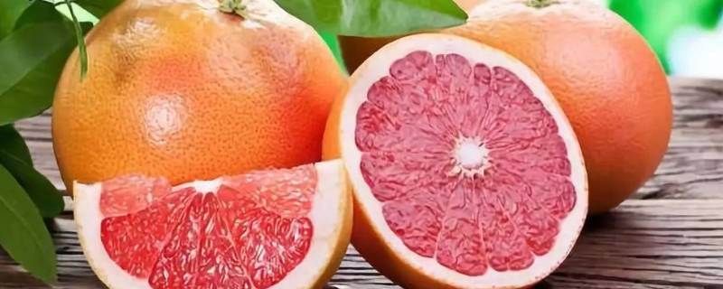 西柚怎么吃好吃-墨子百科 西柚怎么吃好吃