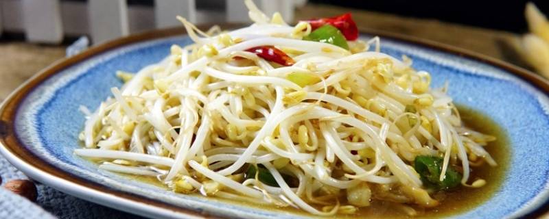 炒豆芽怎么做-墨子百科 炒豆芽怎么做