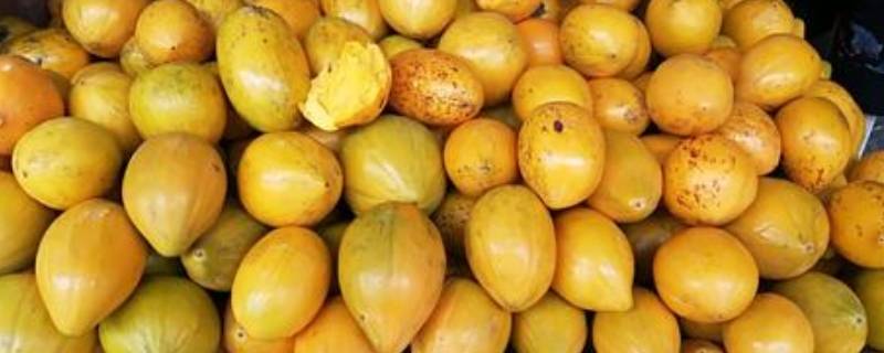 鸡蛋果怎么催熟快-墨子百科 鸡蛋果怎么催熟快