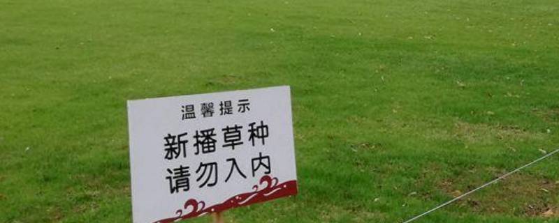 关于爱护草坪的宣传标语-墨子百科 关于爱护草坪的宣传标语