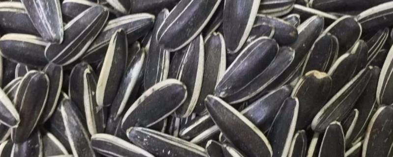 如何判断瓜子是否有滑石粉-墨子百科 如何判断瓜子是否有滑石粉