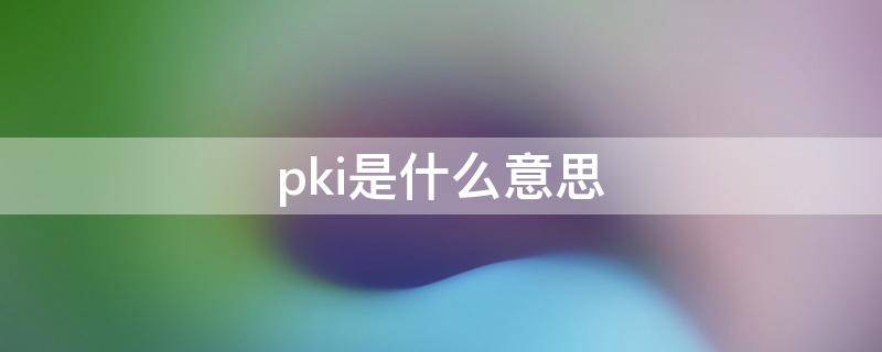 pki是什么意思