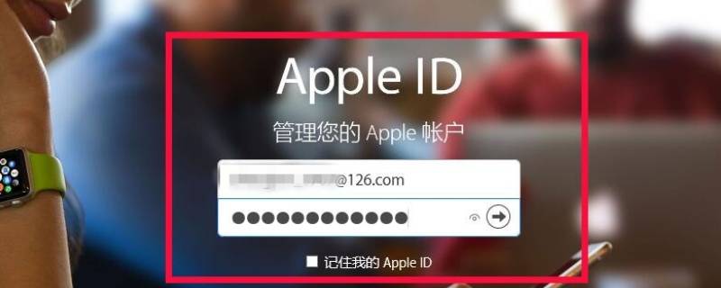 apple id登不上去怎么回事