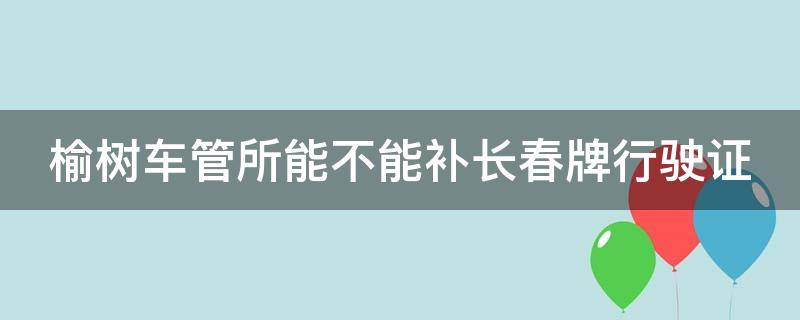 榆树车管所能不能补长春牌行驶证