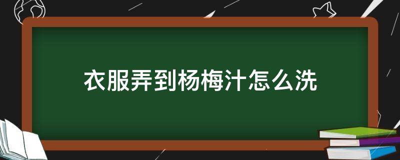 衣服弄到杨梅汁怎么洗