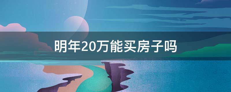 明年20万能买房子吗