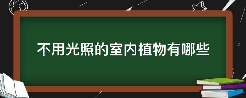 不用光照的室内植物有哪些