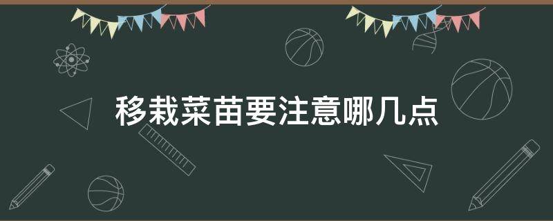 移栽菜苗要注意哪几点